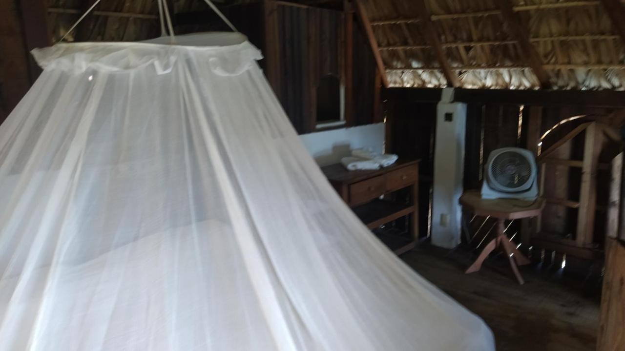 Shambhala Vision Hotel Zipolite Eksteriør billede