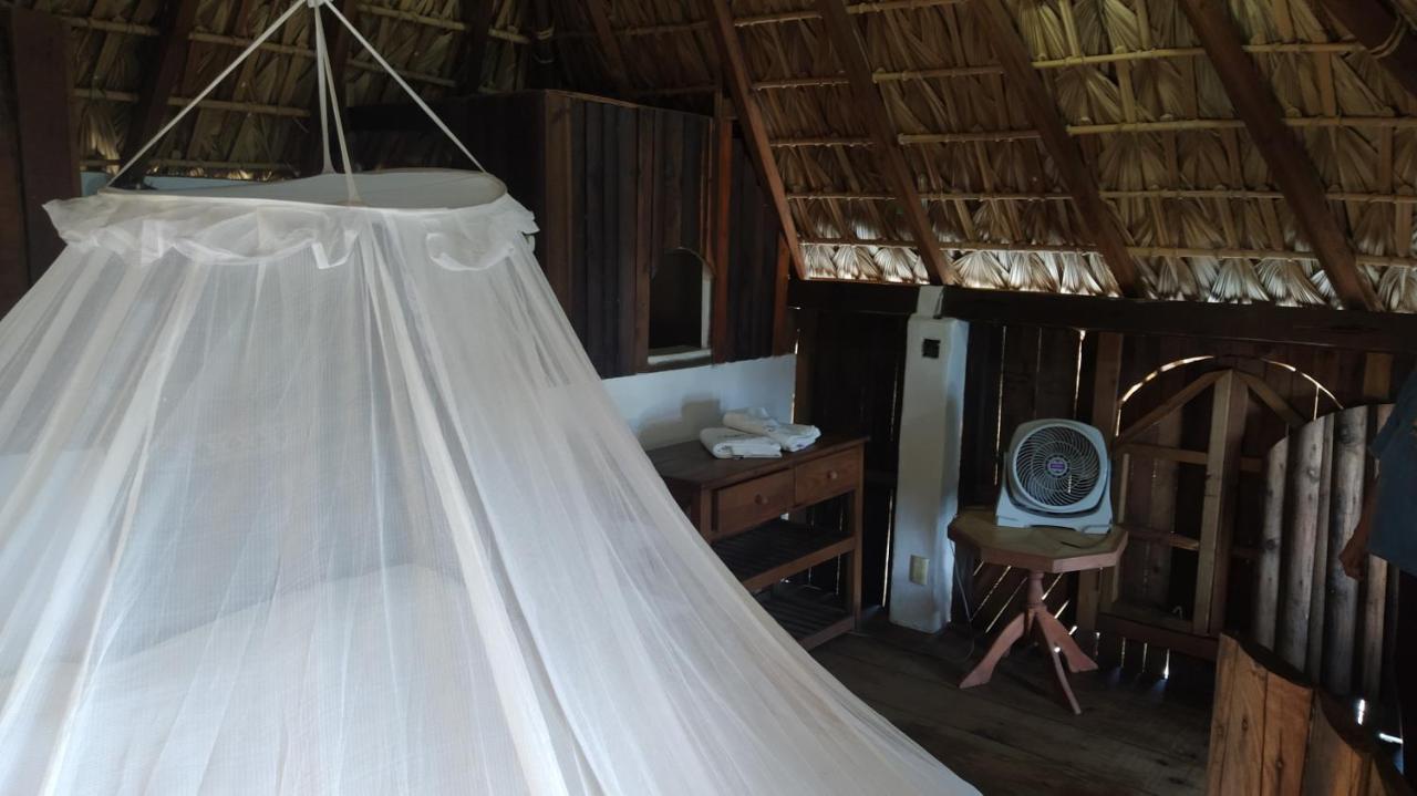 Shambhala Vision Hotel Zipolite Eksteriør billede