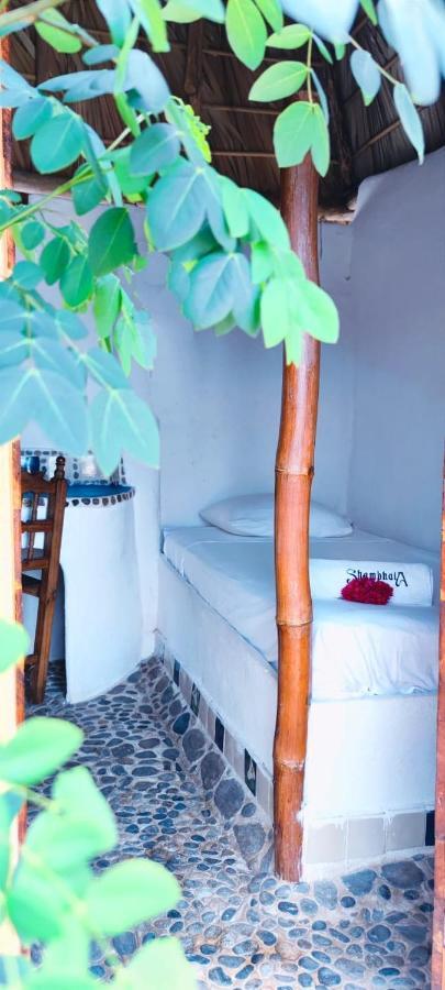 Shambhala Vision Hotel Zipolite Eksteriør billede